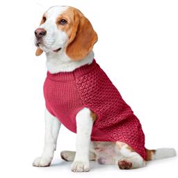 Hunter Hunde Sweater Design Malmø Red